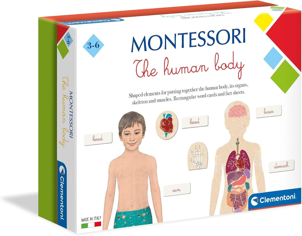 Montessori Human body Learning Toy